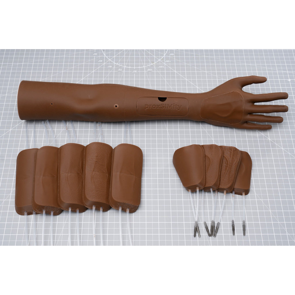 Venepuncture & IV Arm (Full Size) SS1402 | Sim & Skills