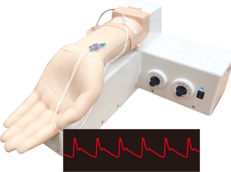 ABG & Allen Test Training Model BT-CSPA | Sim & Skills