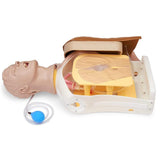 Advanced Airway Larry Airway Management Trainer Torso LF03686 | Sim & Skills