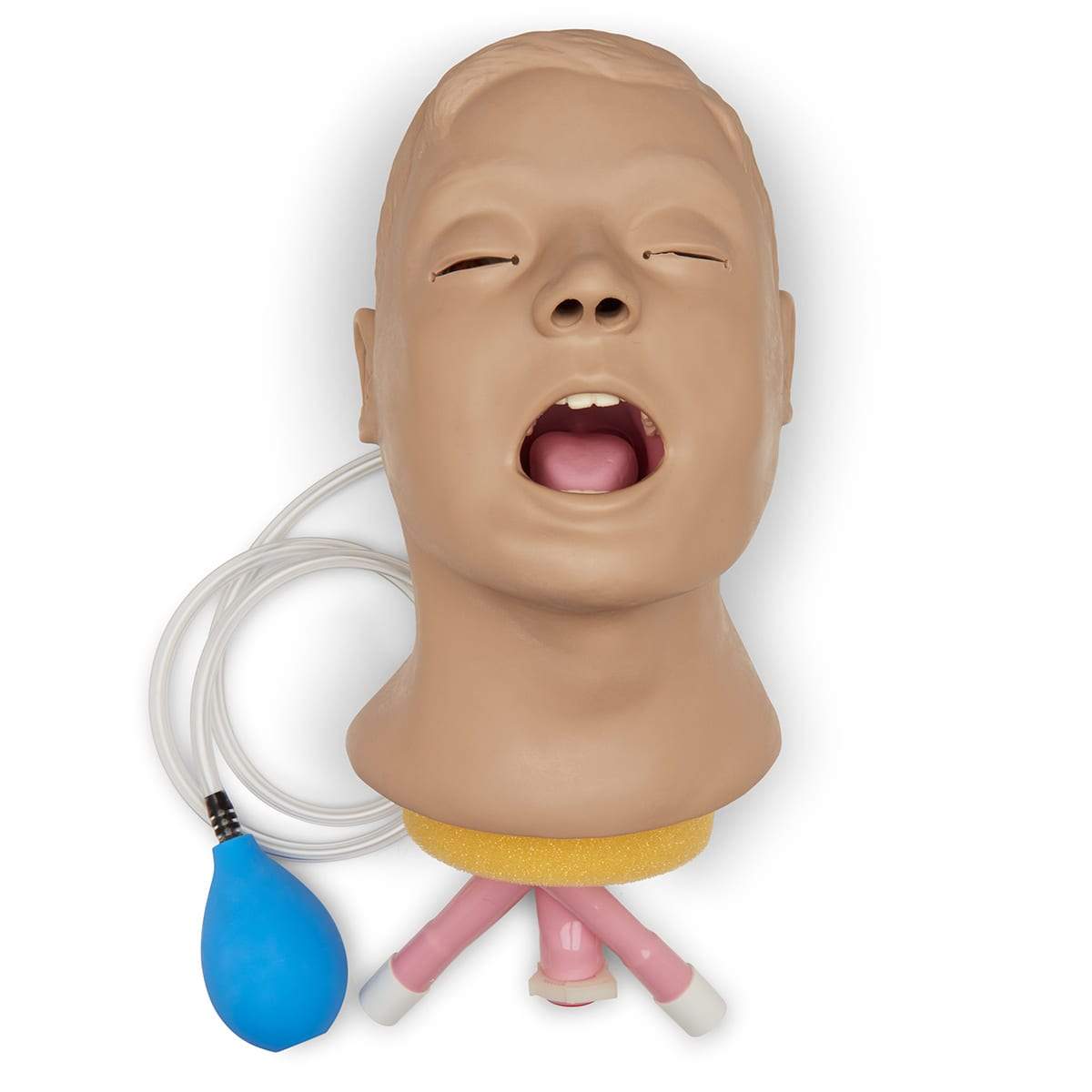 Airway Larry Adult Airway Management Trainer Head LF03667 | Sim & Skills