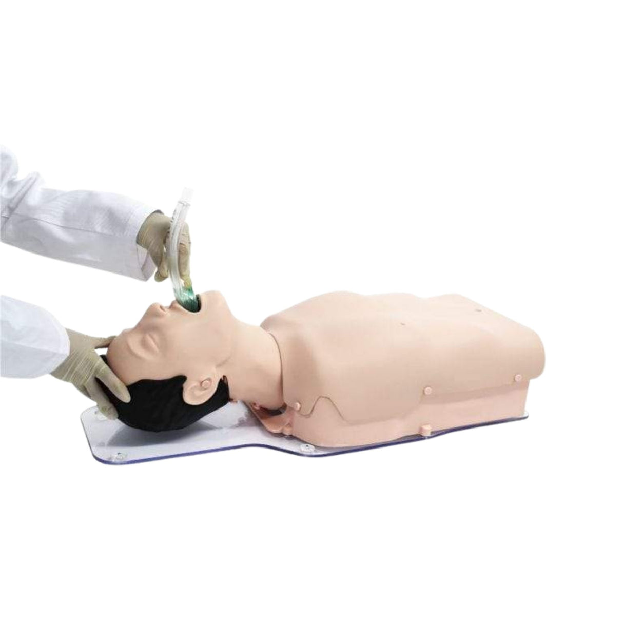 Airway Management Trainer - Basic BT-CSIE-T | Sim & Skills