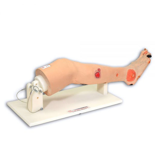 Annie Arterial Insufficiency Leg VTA555 | Sim & Skills