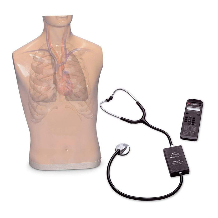 Auscultation Trainer and Smartscope with Amplifier/Speaker System LF01172 | Sim & Skills