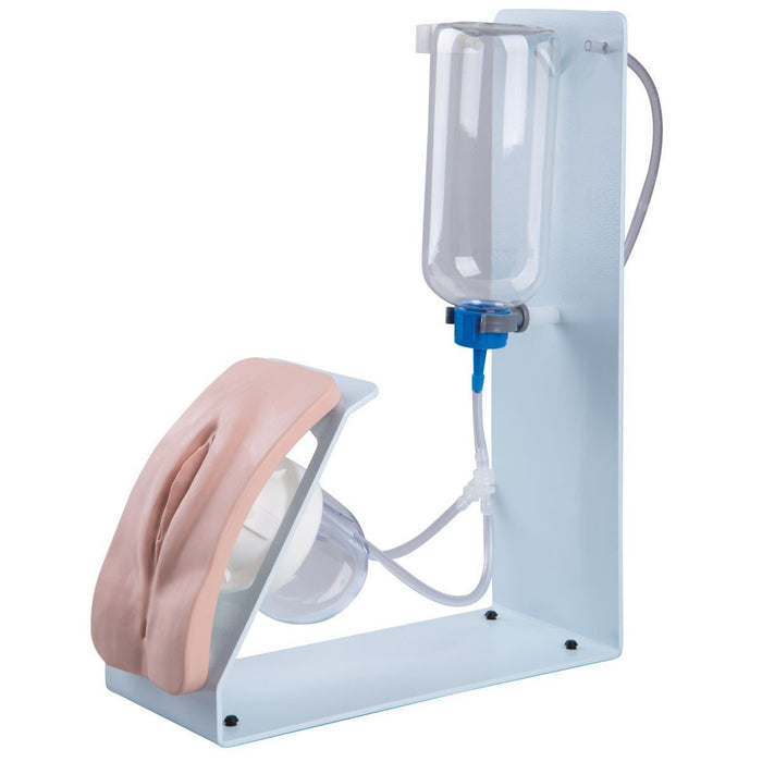 Basic Catheterisation Simulator - Male/Female/Both 1020231 | Sim & Skills