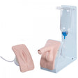 Basic Catheterisation Simulator - Male/Female/Both 1020842 | Sim & Skills