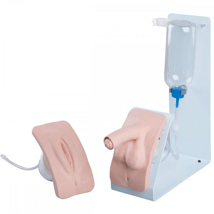 Basic Catheterisation Simulator - Male/Female/Both 1020842 | Sim & Skills