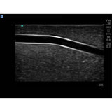 Branched 2 Vessel Ultrasound Training Block Model BPP-101 | Sim & Skills