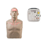 Brayden Advanced CPR Manikin + AED Trainer SS1027 | Sim & Skills