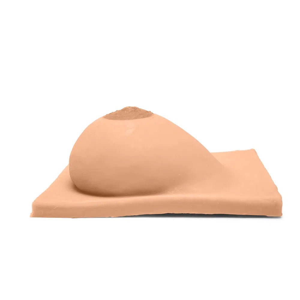 Breast Model with Inverted Nipple B-S-001-I-B | Sim & Skills