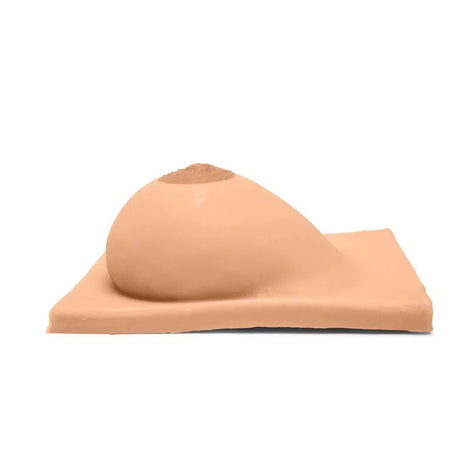 Breast Model with Inverted Nipple B-S-001-I-B | Sim & Skills