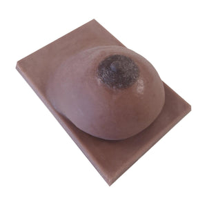 Breast without lactation for breastfeeding training