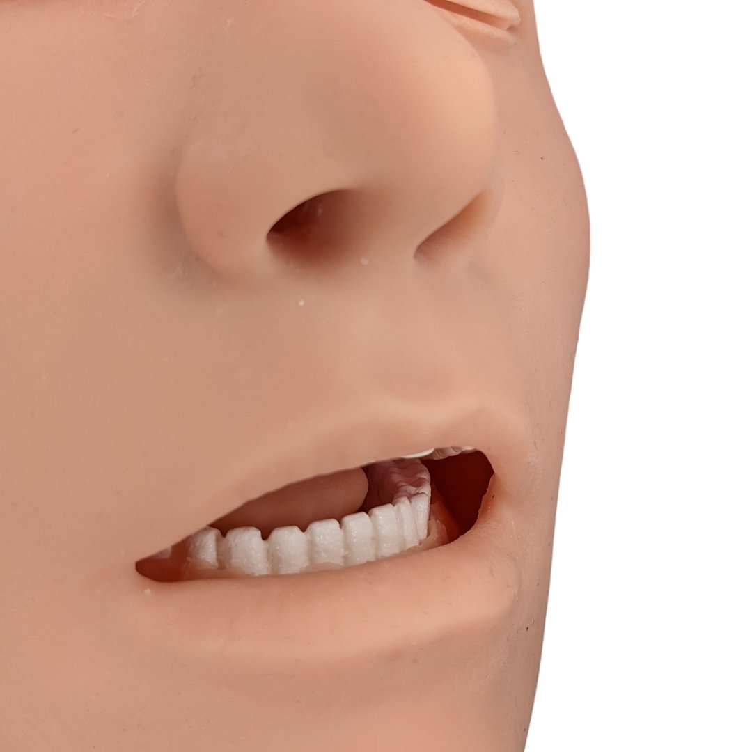 Buccal Injection Trainer - Adult 101-078B | Sim & Skills