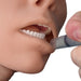 Buccal Injection Trainer - Adult 101-078B | Sim & Skills