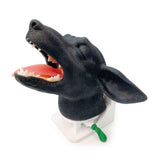 Canine Intubation Head EZ-VET4600 | Sim & Skills