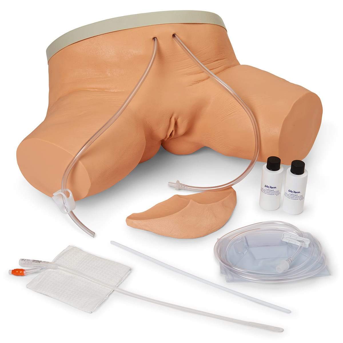 Catheter Simulator - Female LF00856 | Sim & Skills