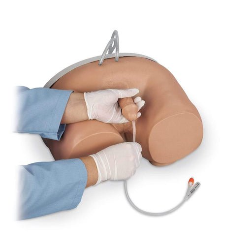 Catheter Simulator - Male LF00855 | Sim & Skills