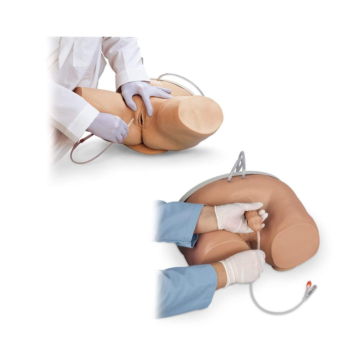 Catheter Simulators - Male & Female LF00857 | Sim & Skills