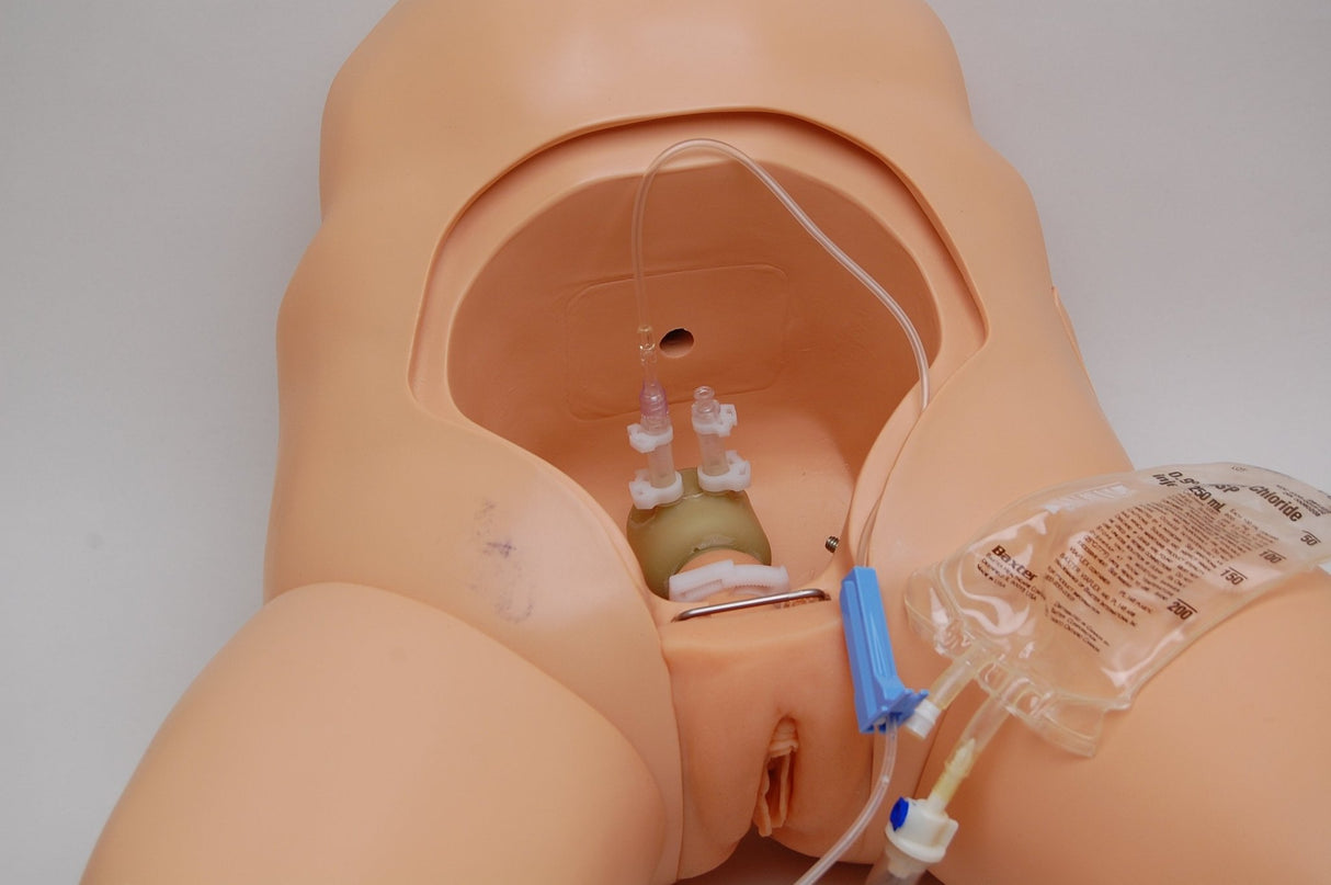 Cathi Female Catheterisation Trainer CATH-FL-01 | Sim & Skills