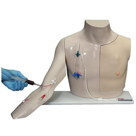 Chester Chest Central Line Trainer VTA2400 | Sim & Skills