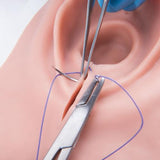 Episiotomy and Suturing Trainer 1023329 | Sim & Skills