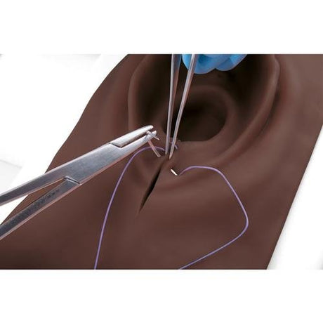 Episiotomy and Suturing Trainer 1023329 | Sim & Skills