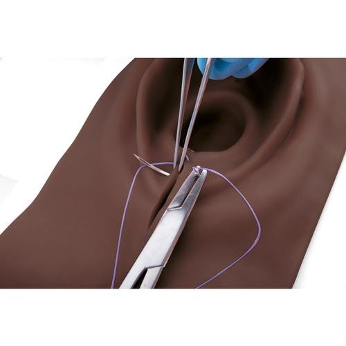 Episiotomy and Suturing Trainer 1023329 | Sim & Skills