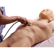 FAST, TTE and Pericardiocentesis Ultrasound Training Model BP-FAST1800 | Sim & Skills