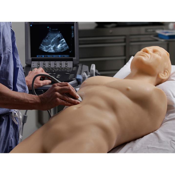 FAST, TTE and Pericardiocentesis Ultrasound Training Model BP-FAST1800 | Sim & Skills