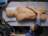 FAST, TTE and Pericardiocentesis Ultrasound Training Model BP-FAST1800 | Sim & Skills