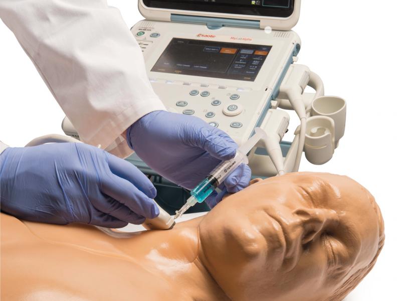 Gen II Central Line Ultrasound Training Model | Blue Phantom BPH660-HP | Sim & Skills