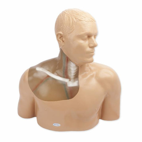 Gen II Central Line Ultrasound Training Model with Transparent Insert BPH665-C-AP | Sim & Skills