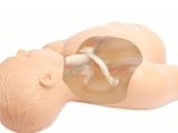 Gen II Central Line Ultrasound Training Model with Transparent Insert BPH665-C-HP | Sim & Skills