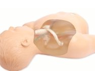 Gen II Central Line Ultrasound Training Model with Transparent Insert BPH665-C-HP | Sim & Skills