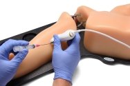 Gen II PICC with IV & Arterial Line Vascular Access Ultrasound Trainer BPA304-HP | Sim & Skills