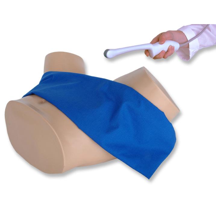 General Pathology Transvaginal Ultrasound Training Model BPOB1220 | Sim & Skills