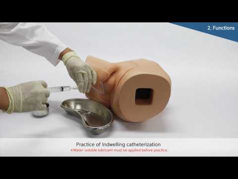 Male Catheterisation Trainer BT-CSCM | Sim & Skills Ltd VIDEO