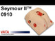 Seymour II Wound Care Model