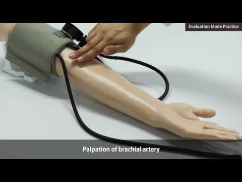 Blood pressure/Pulse Assessment simulator BT-CEAB2 | Sim & Skills Ltd VIDEO