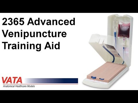 Advanced Four-Vein Venepuncture Training Aid