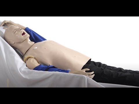 Life/form® Adult CRiSis Manikin