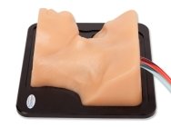 Internal Jugular Central Line Ultrasound Manikin - Transparent/Flesh BPIJ500 | Sim & Skills