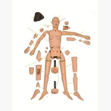 KERi Nursing Skills Manikin LF04023 | Sim & Skills