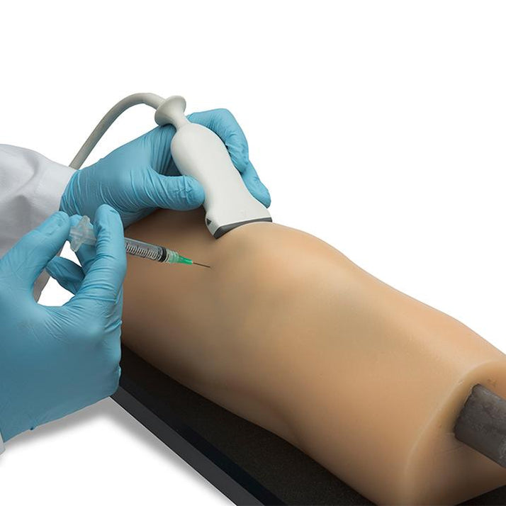 Knee Aspiration & Injection Ultrasound Training Model - Sim & Skills