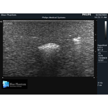 Leg Model with Foreign Body Identification Insert For Ultrasound Training BPL550 | Sim & Skills