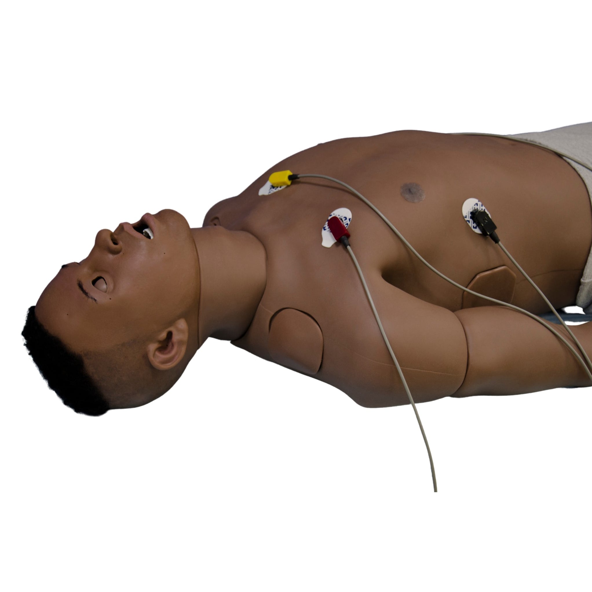 Leonardo Adult Patient Simulator - Sim & Skills