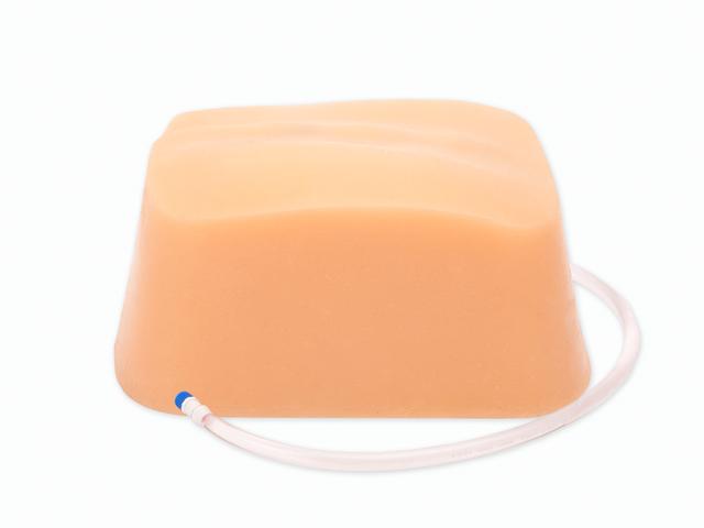 Lumbar Epidural Replacement Tissue BPLP2201 | Sim & Skills