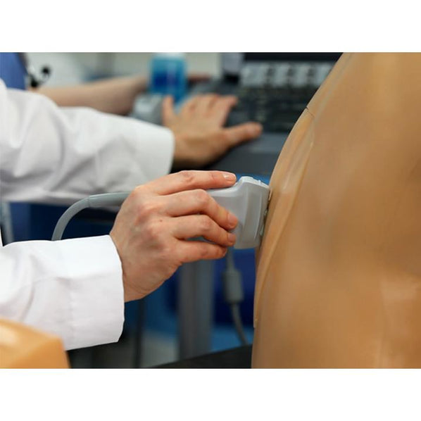 Lumbar Puncture and Spinal Epidural Ultrasound Training Model BPLP2101 | Sim & Skills