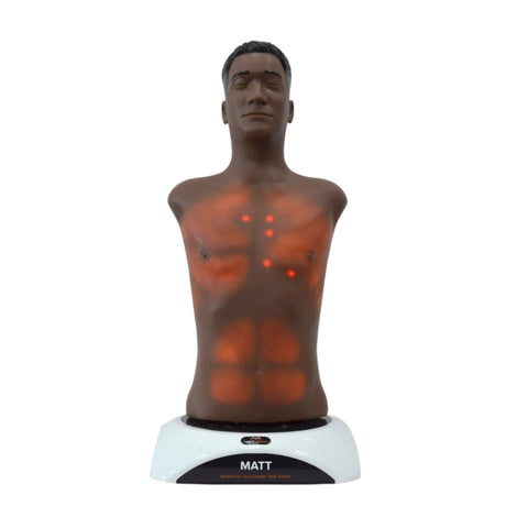 MATT Auscultation Task Trainer - Adult MSE-MATT-A-D | Sim & Skills