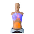 MATT Auscultation Task Trainer - Adult MSE-MATT-A-L | Sim & Skills