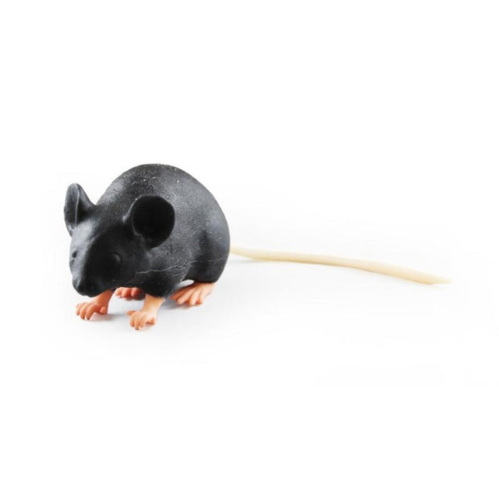 Mimicky Mouse EZ-VET4220 | Sim & Skills